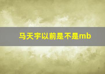 马天宇以前是不是mb