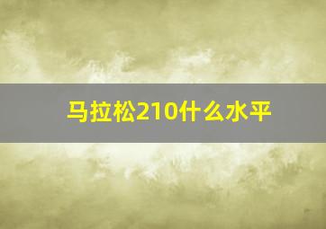 马拉松210什么水平