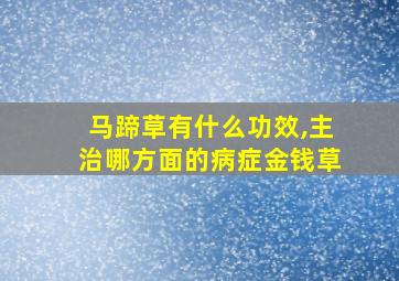 马蹄草有什么功效,主治哪方面的病症金钱草