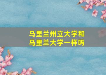 马里兰州立大学和马里兰大学一样吗