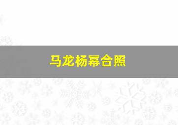 马龙杨幂合照