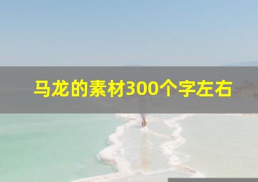 马龙的素材300个字左右