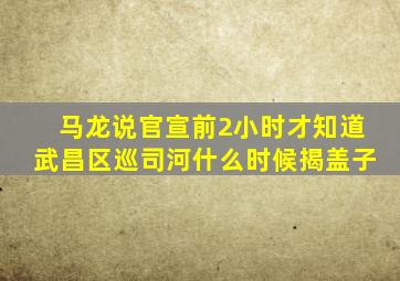 马龙说官宣前2小时才知道武昌区巡司河什么时候揭盖子