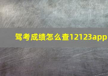 驾考成绩怎么查12123app