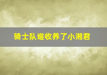 骑士队谁收养了小湘君