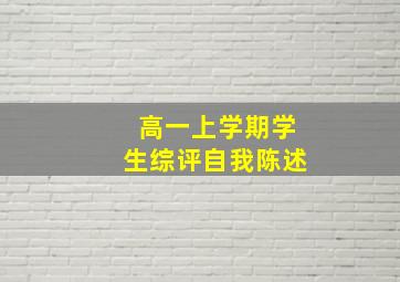 高一上学期学生综评自我陈述