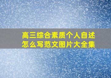 高三综合素质个人自述怎么写范文图片大全集