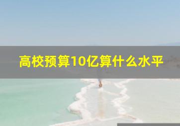 高校预算10亿算什么水平