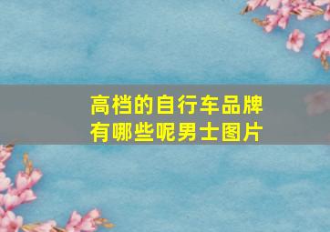 高档的自行车品牌有哪些呢男士图片