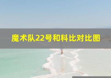 魔术队22号和科比对比图