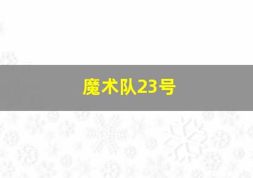 魔术队23号