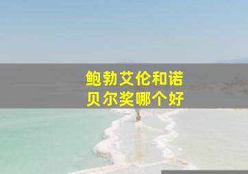 鲍勃艾伦和诺贝尔奖哪个好