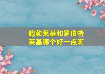 鲍勃莱基和罗伯特莱基哪个好一点啊