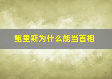 鲍里斯为什么能当首相