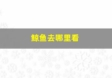 鲸鱼去哪里看