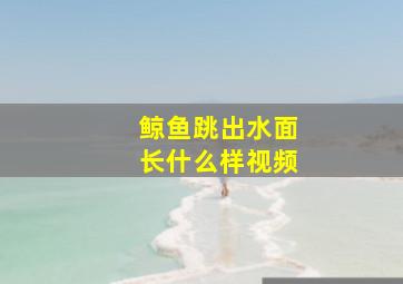 鲸鱼跳出水面长什么样视频