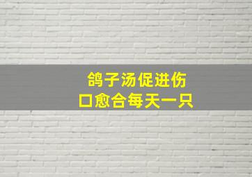 鸽子汤促进伤口愈合每天一只