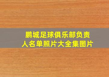 鹏城足球俱乐部负责人名单照片大全集图片