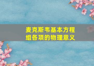 麦克斯韦基本方程组各项的物理意义