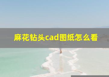 麻花钻头cad图纸怎么看