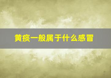 黄痰一般属于什么感冒