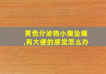 黄色分泌物小腹坠痛,有大便的感觉怎么办