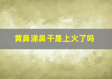 黄鼻涕鼻干是上火了吗