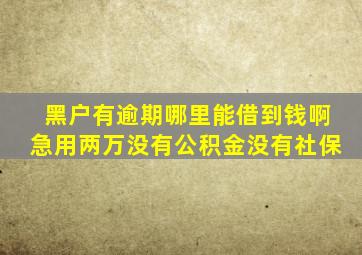 黑户有逾期哪里能借到钱啊急用两万没有公积金没有社保