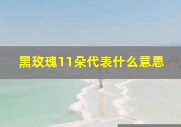 黑玫瑰11朵代表什么意思