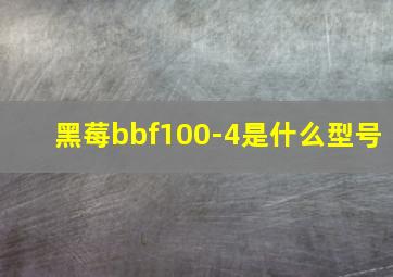 黑莓bbf100-4是什么型号