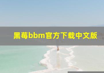 黑莓bbm官方下载中文版