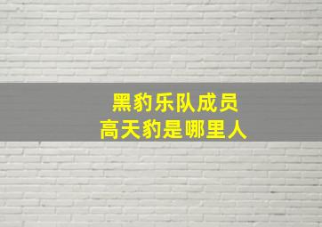 黑豹乐队成员高天豹是哪里人