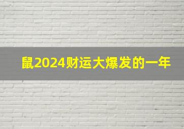 鼠2024财运大爆发的一年