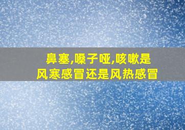 鼻塞,嗓子哑,咳嗽是风寒感冒还是风热感冒