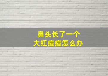 鼻头长了一个大红痘痘怎么办