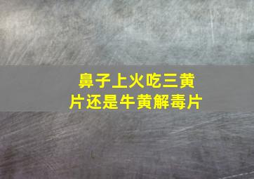 鼻子上火吃三黄片还是牛黄解毒片