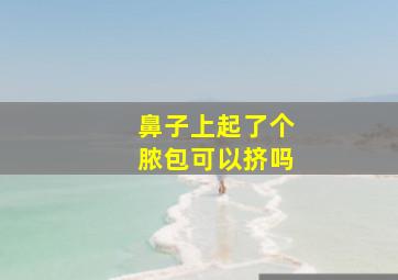 鼻子上起了个脓包可以挤吗