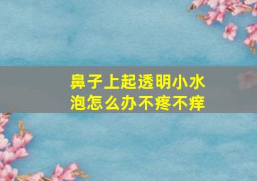 鼻子上起透明小水泡怎么办不疼不痒