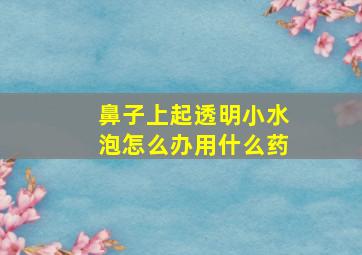 鼻子上起透明小水泡怎么办用什么药