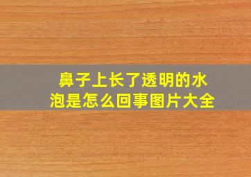 鼻子上长了透明的水泡是怎么回事图片大全