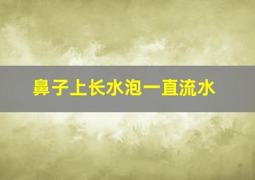 鼻子上长水泡一直流水