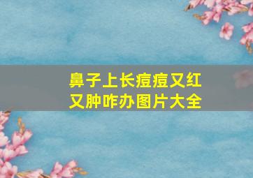 鼻子上长痘痘又红又肿咋办图片大全