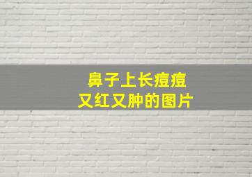 鼻子上长痘痘又红又肿的图片