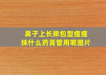 鼻子上长脓包型痘痘抹什么药膏管用呢图片