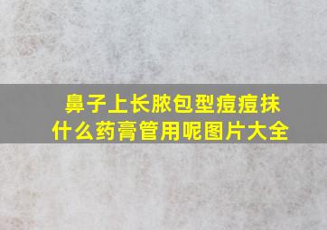 鼻子上长脓包型痘痘抹什么药膏管用呢图片大全