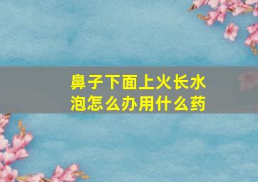 鼻子下面上火长水泡怎么办用什么药