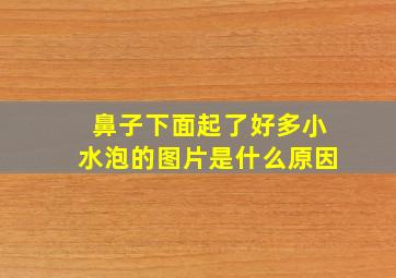 鼻子下面起了好多小水泡的图片是什么原因