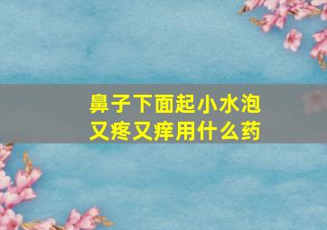 鼻子下面起小水泡又疼又痒用什么药