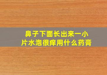 鼻子下面长出来一小片水泡很痒用什么药膏