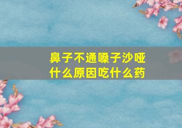 鼻子不通嗓子沙哑什么原因吃什么药